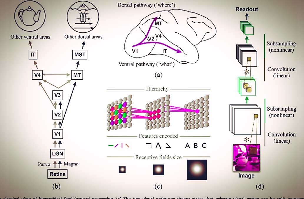 بینایی رایانه ای مکملی برای دید بیولوژیکی